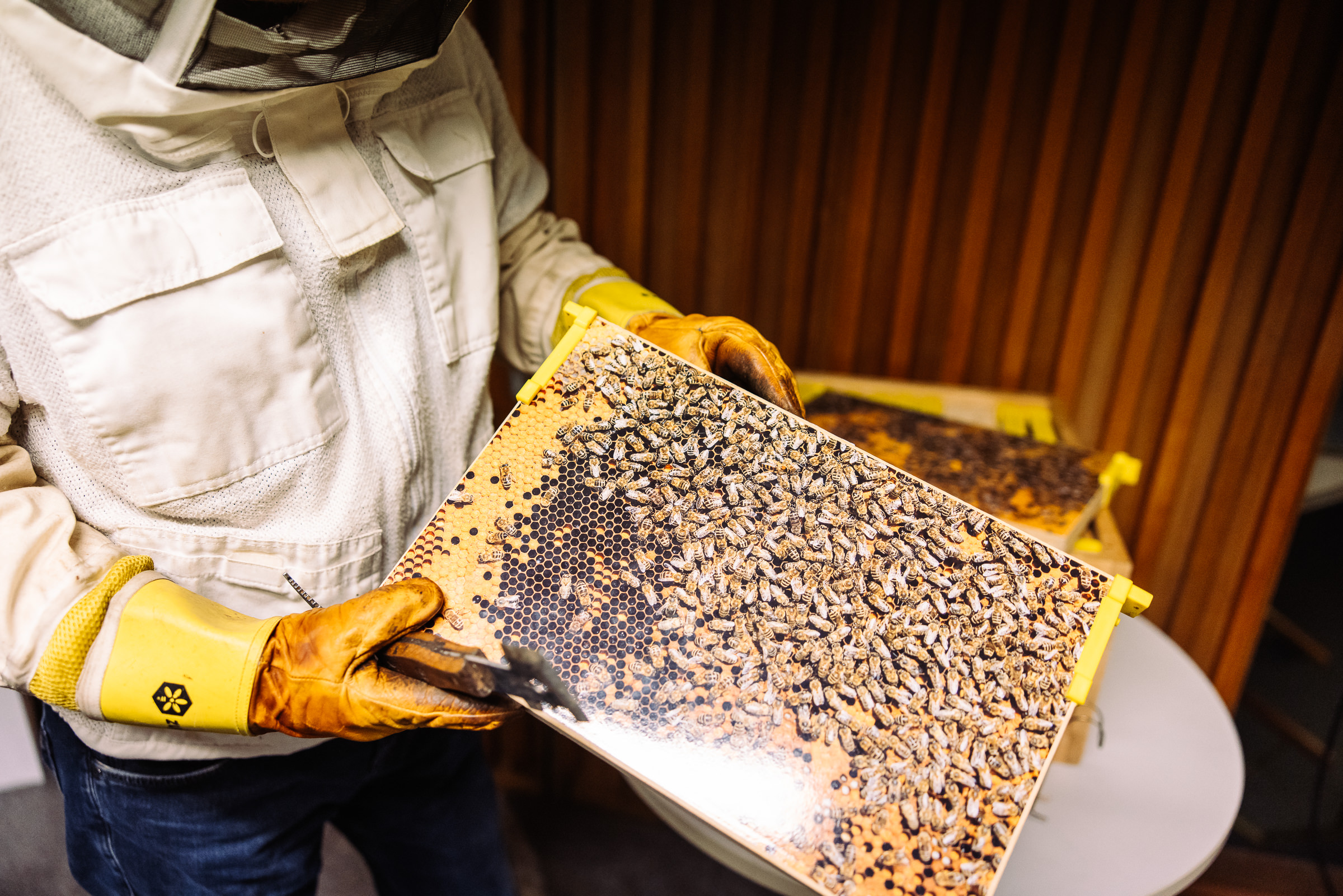 Supporting the Slovenian Beekeepers’ Association